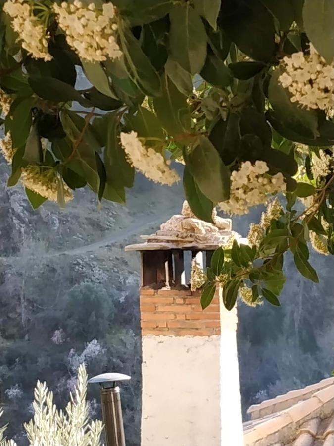 Cortijo La Solana Guest House Guejar Sierra Ngoại thất bức ảnh
