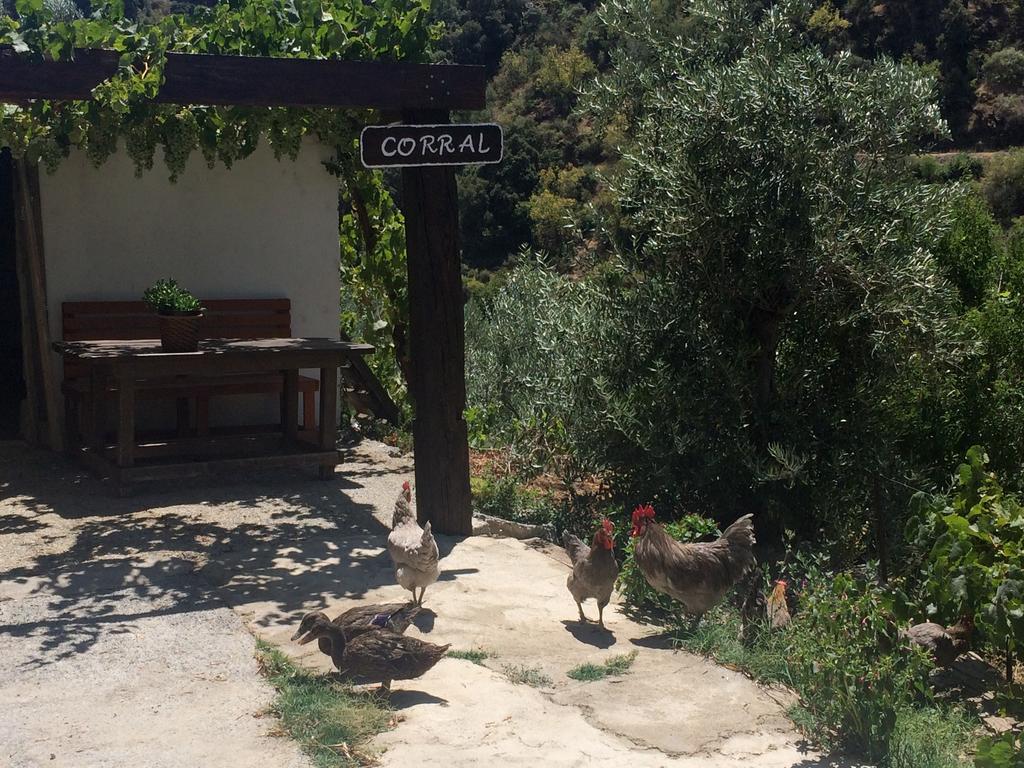 Cortijo La Solana Guest House Guejar Sierra Ngoại thất bức ảnh